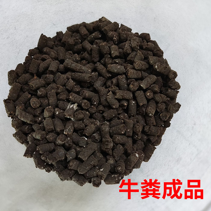 牛糞對輥擠壓造粒機 干粉加工顆粒機成品